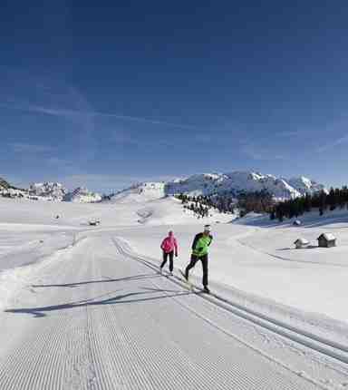 freizeit-winter-langlauf-070-t-gruener