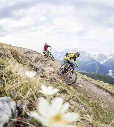 freizeit-sommer-radfahren-305-m-greber